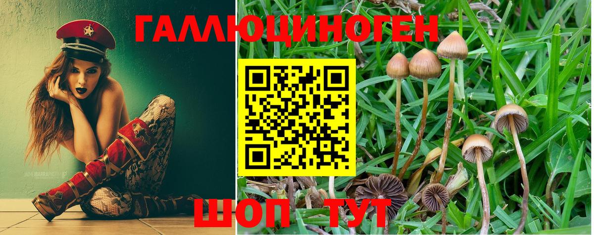 Чистополь  Псилоцибиновые грибы мицелий  Вход с VPN  Галлюциногенные грибы мухоморы 